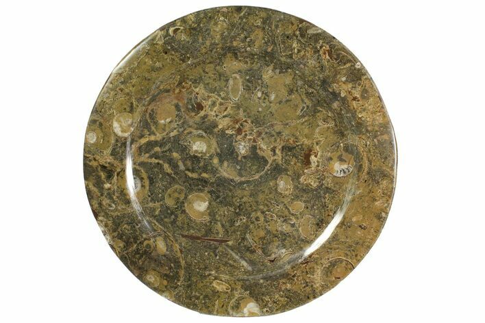 Fossil Orthoceras & Goniatite Round Plate - Stoneware #139499